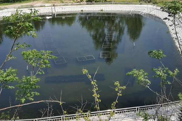 農村生活污水治理